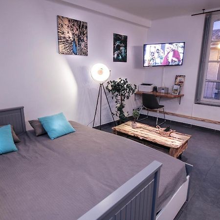 Appartement Calme Et Spacieux, Cite Et Ville A Pied, Wifi, 2 Chambres, 3 Lits Каркассонн Екстер'єр фото