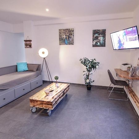 Appartement Calme Et Spacieux, Cite Et Ville A Pied, Wifi, 2 Chambres, 3 Lits Каркассонн Екстер'єр фото